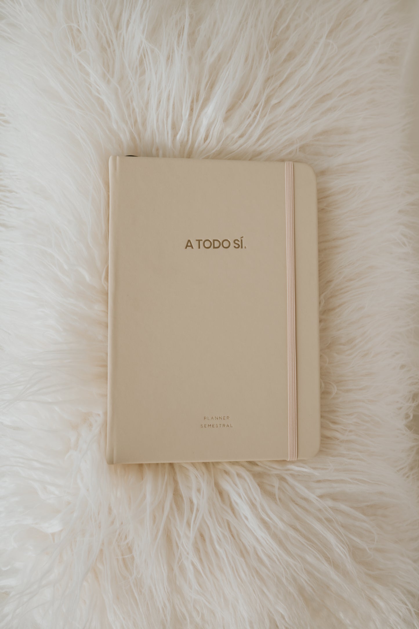 Planner Semestral Clásico | A Todo Sí®